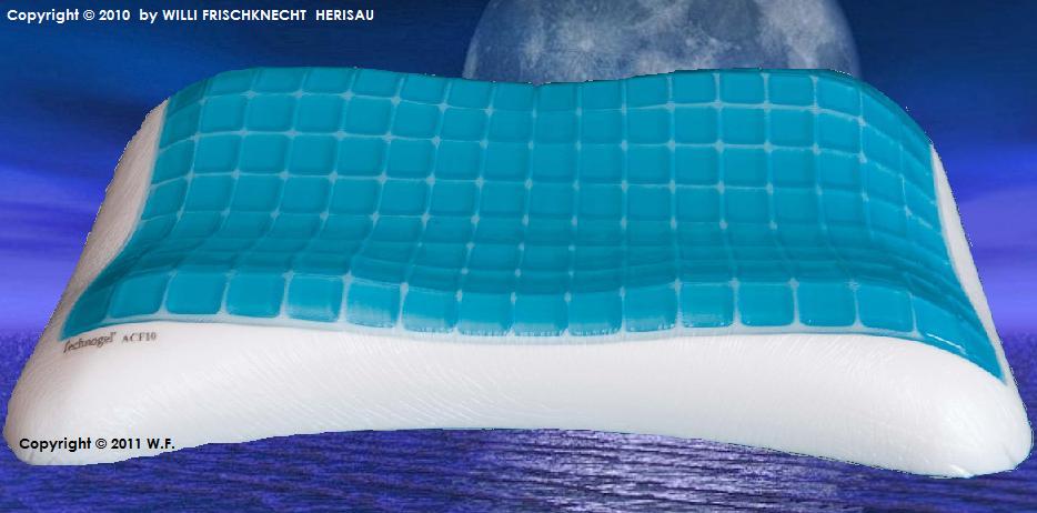 Technogel Contour  66x42